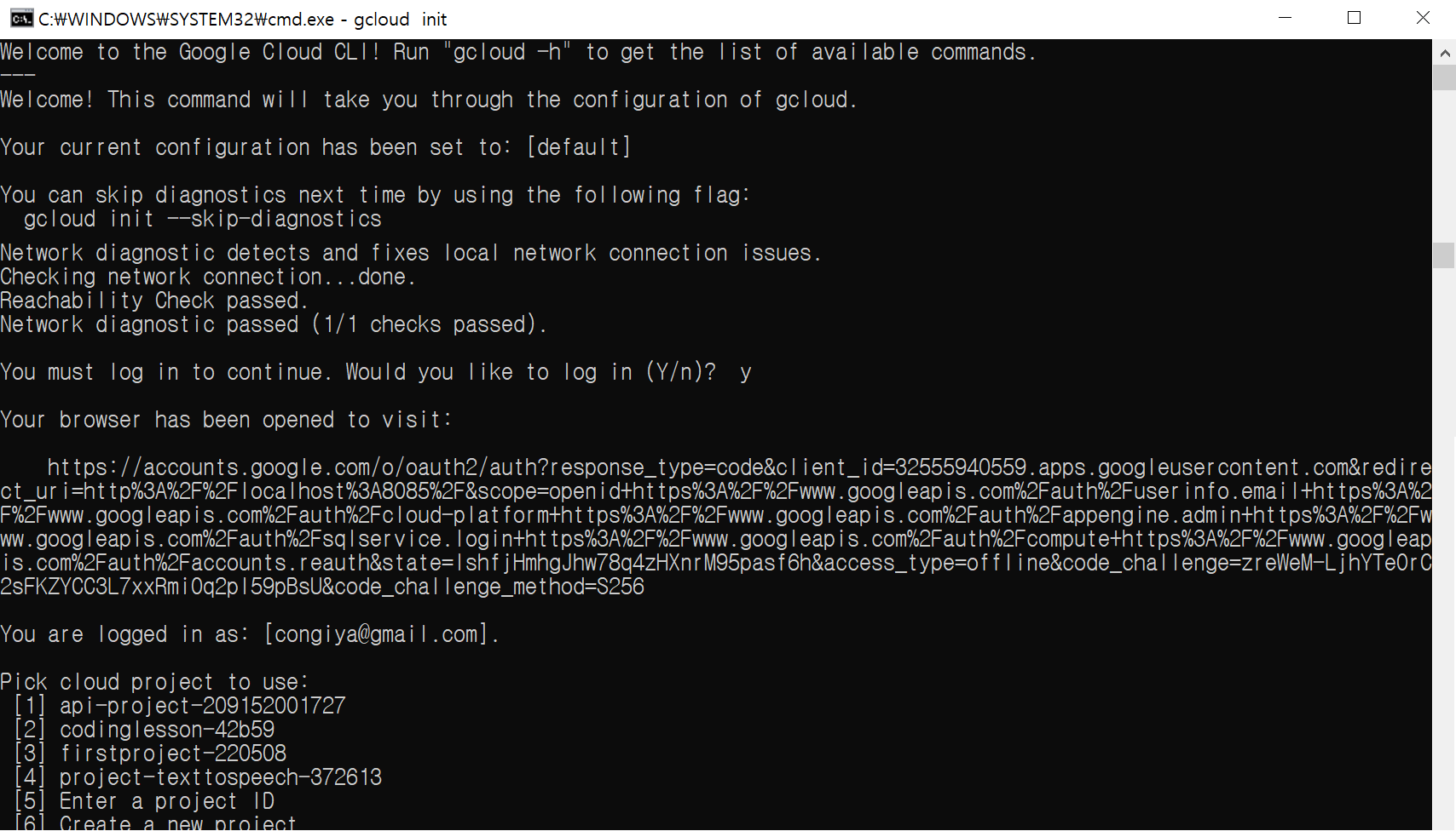 Google Cloud CLI
