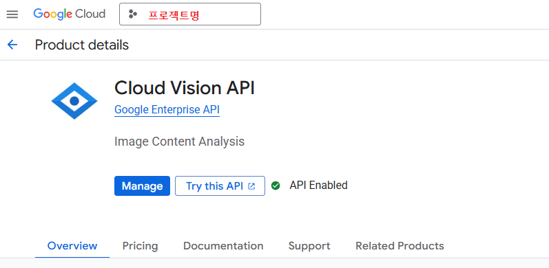 google vision 