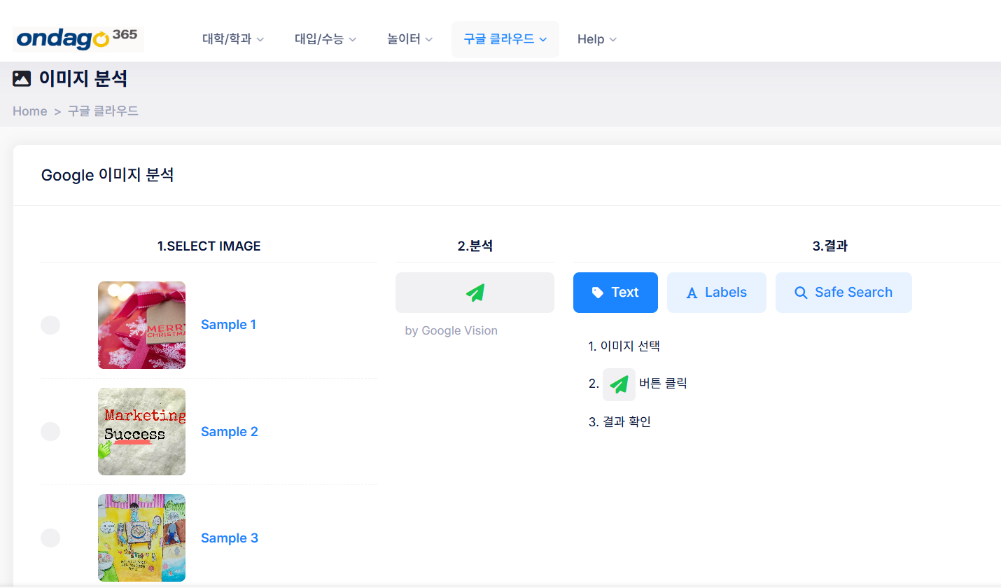 google vision 